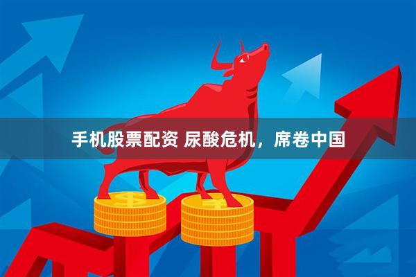 手机股票配资 尿酸危机,席卷中国