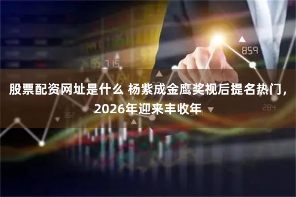 股票配资网址是什么 杨紫成金鹰奖视后提名热门，2026年迎来丰收年